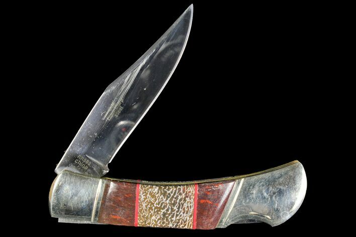 Pocketknife With Fossil Dinosaur Bone (Gembone) Inlays #136589